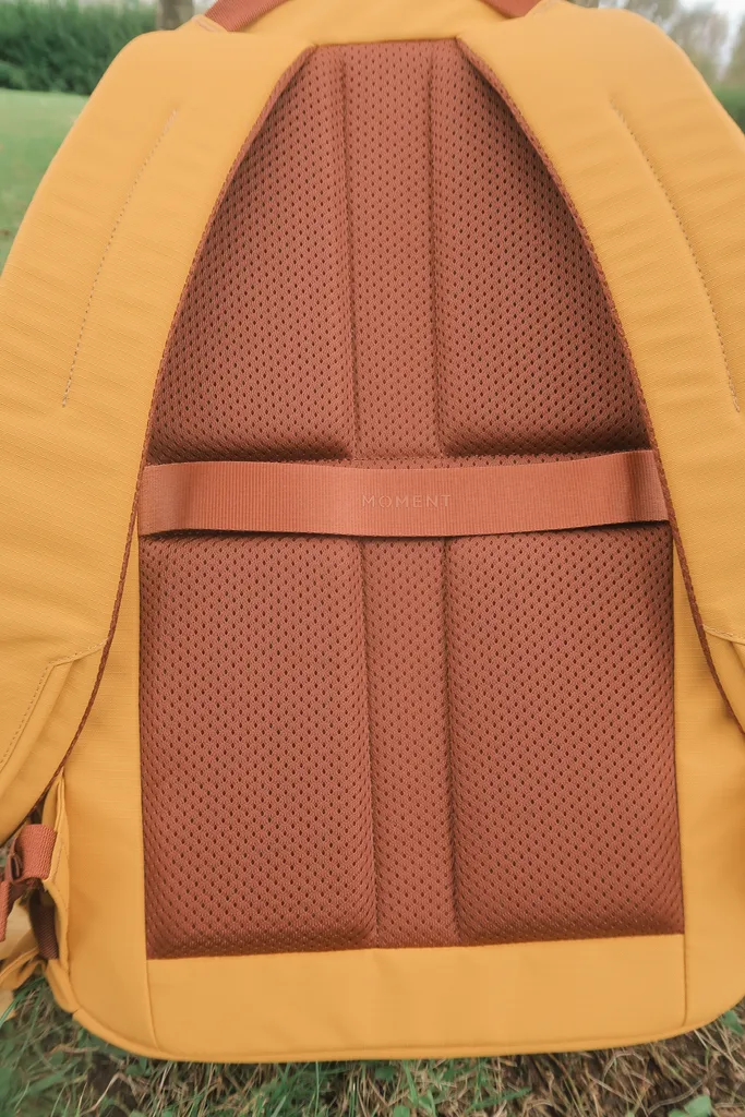 15 Best Urban Backpacks for 2024